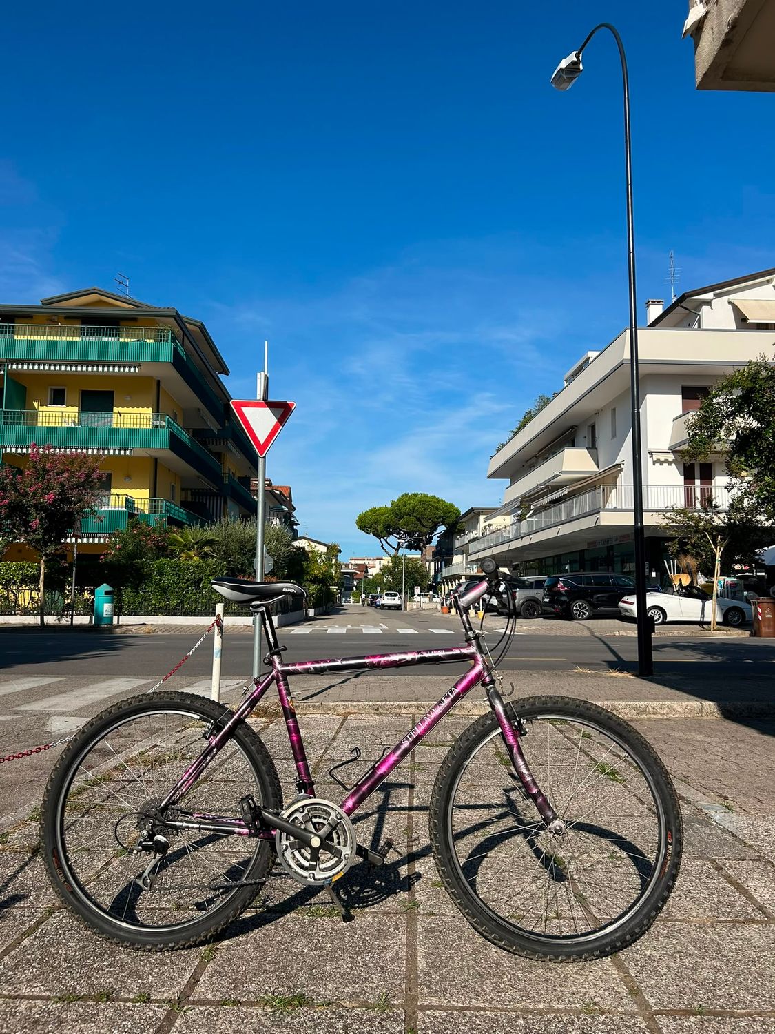 MTB STELLA VENETA 26"