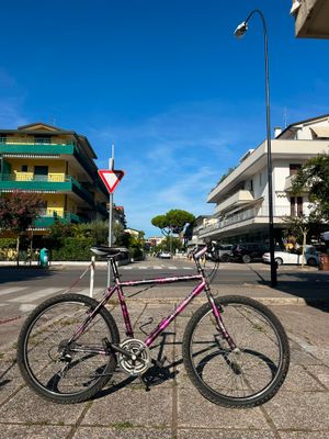 MTB STELLA VENETA 26"
