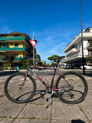 MTB STELLA VENETA 26"