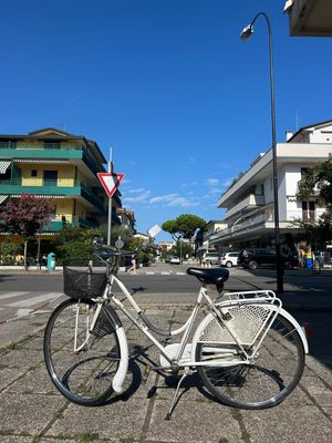 BICI OLANDA