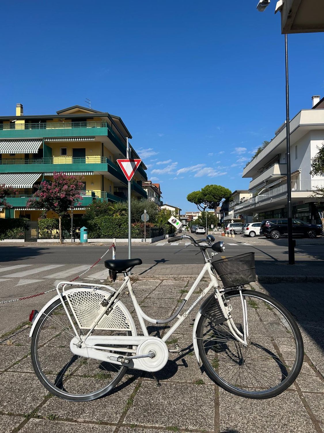 BICI OLANDA