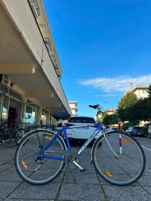 CITY BIKE UOMO ROGER