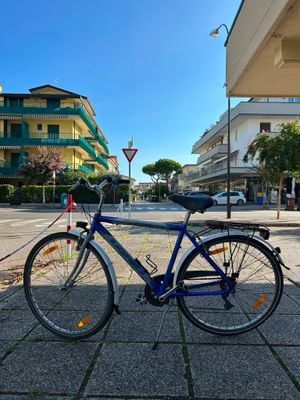 CITY BIKE UOMO ROGER