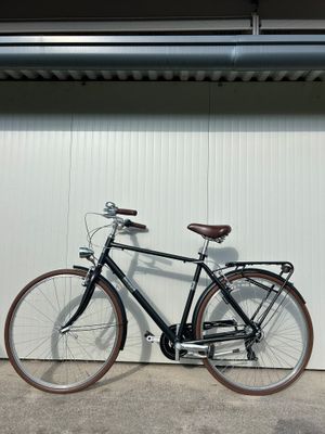 CITY BIKE ALPINA
