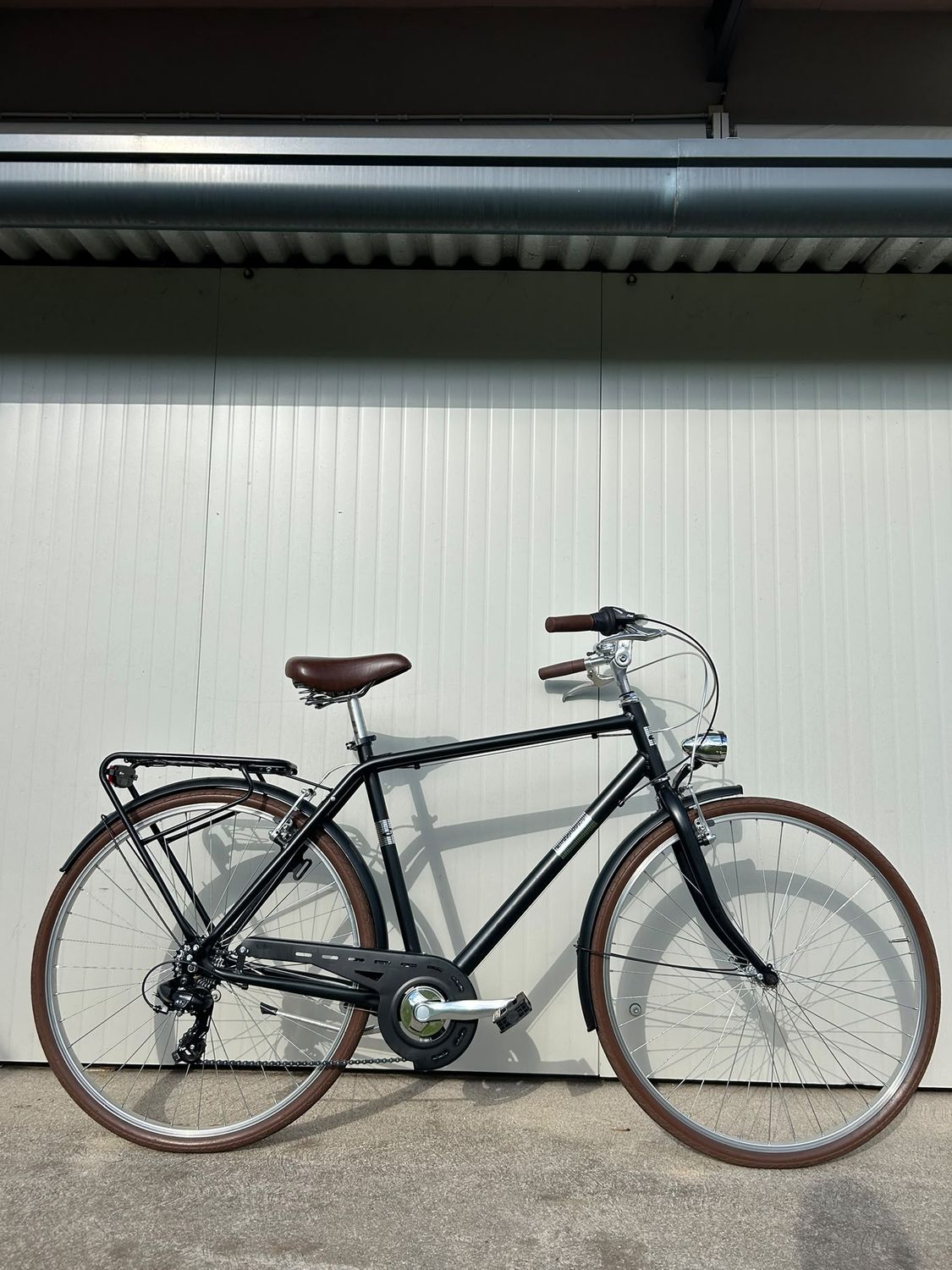 CITY BIKE ALPINA