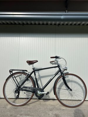 CITY BIKE ALPINA