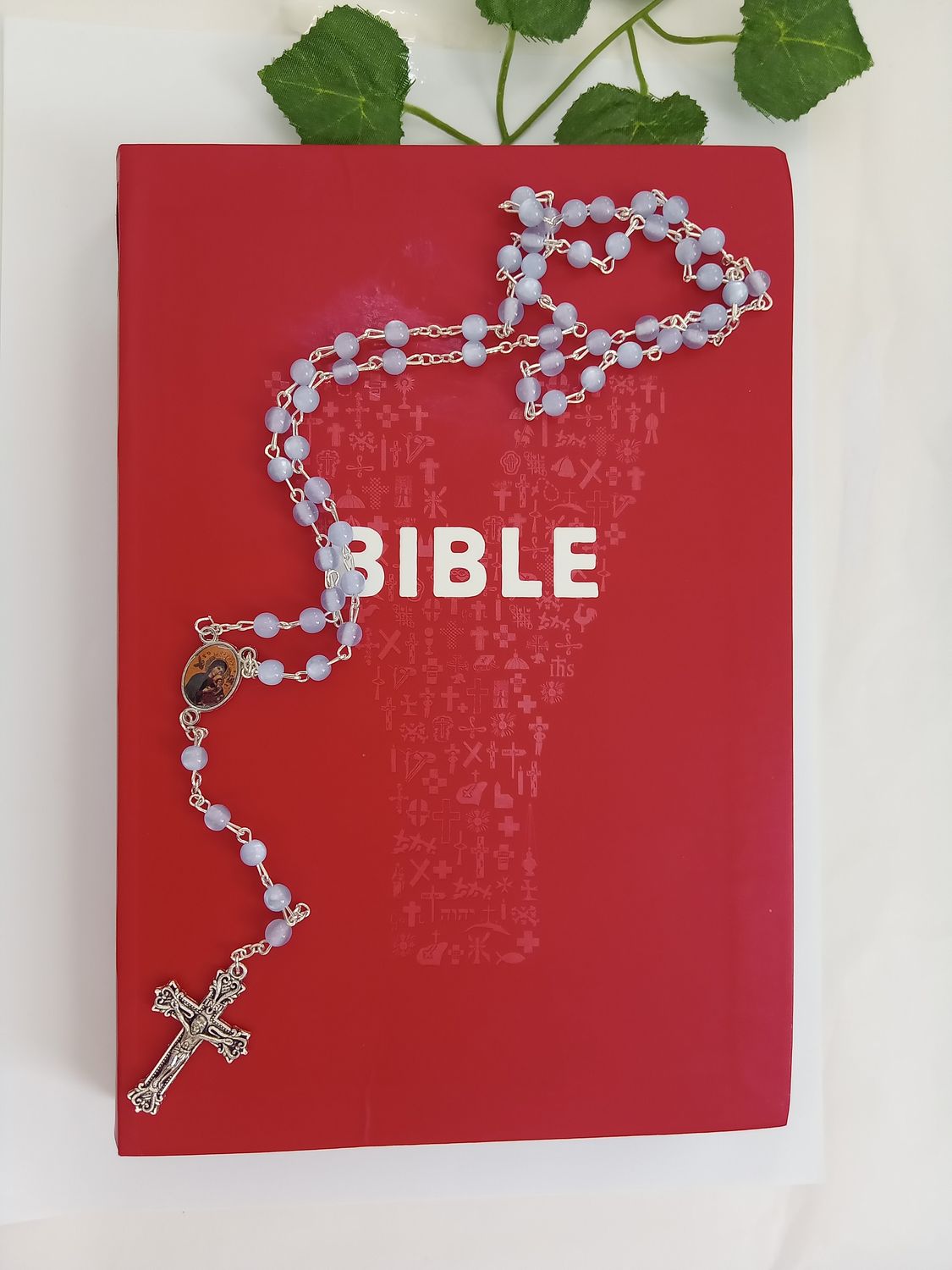 Youcat Bible for Young Adults