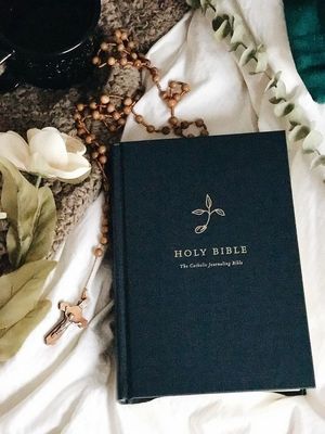 Bibles Collection