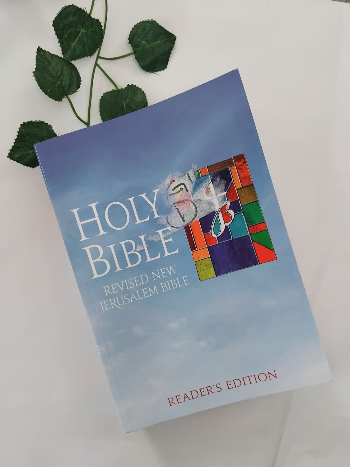 The Holy Bible New Jerusalem Reader&#39;s Edition Soft Cover
