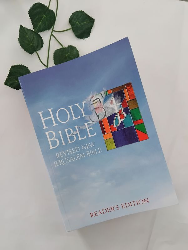 The Holy Bible New Jerusalem Reader&#39;s Edition Soft Cover