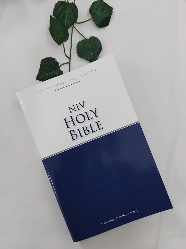 NIV Holy Bible Soft Cover