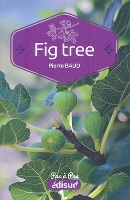 Carte Fig Tree Pas a Pas