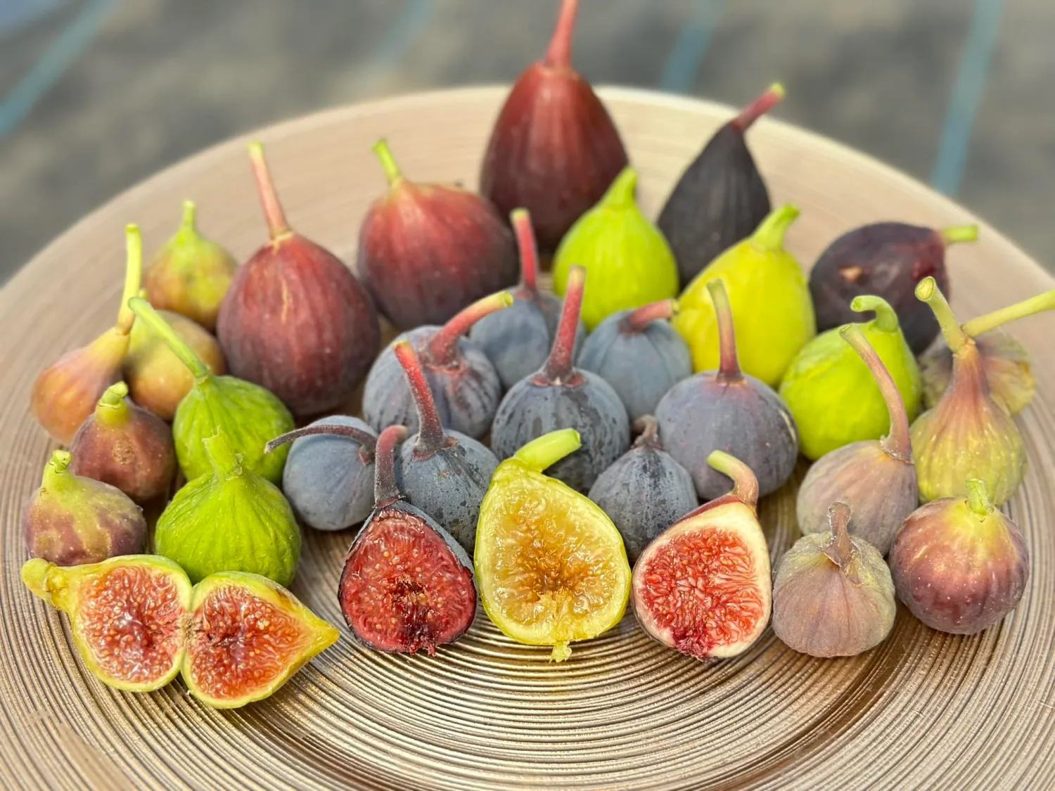 Smochin Ficus carica LSU Purple C2