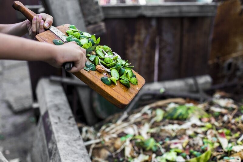 Fighting Food Waste In Hotels 