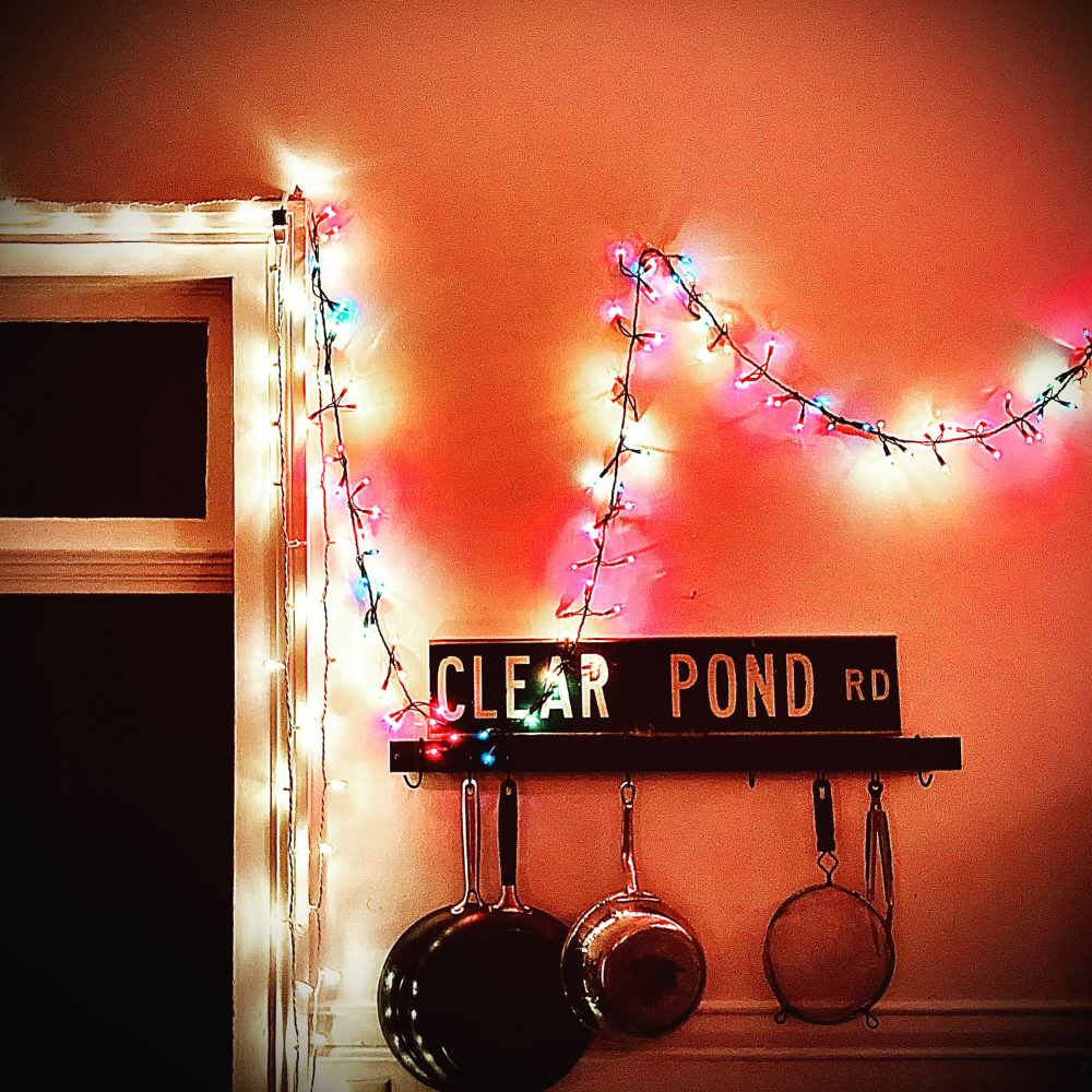 HERSH, KRISTIN - CLEAR POND ROAD (GEKLEURD)