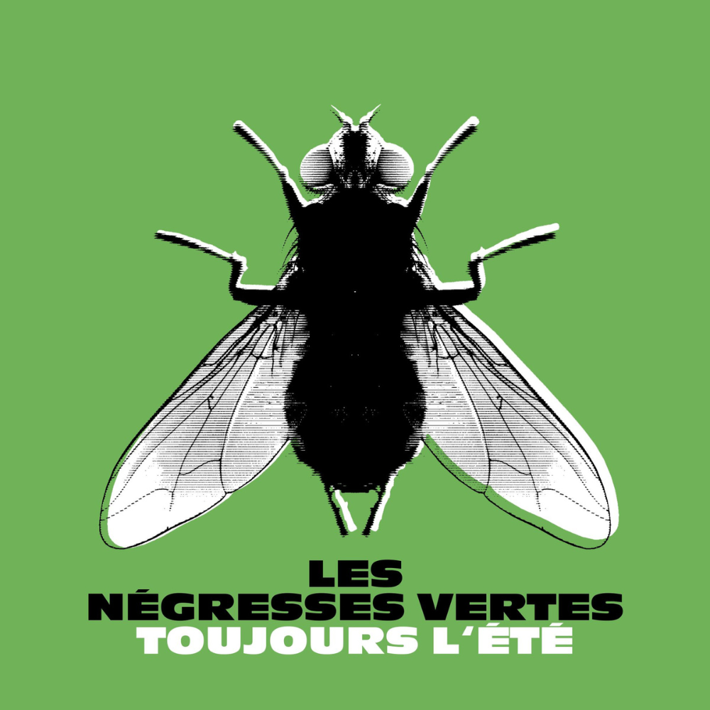 LES NÉGRESSES VERTES - TOUJOURS L&#39;ÉTÉ (GEKLEURD)