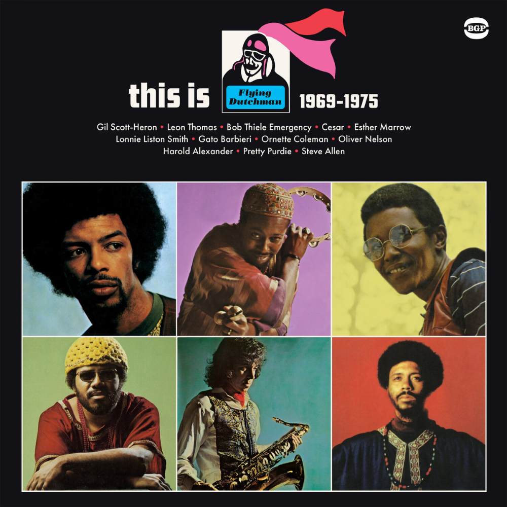 VARIOUS ARTISTS - THIS IS FLYING DUTCHMAN 1969-1975