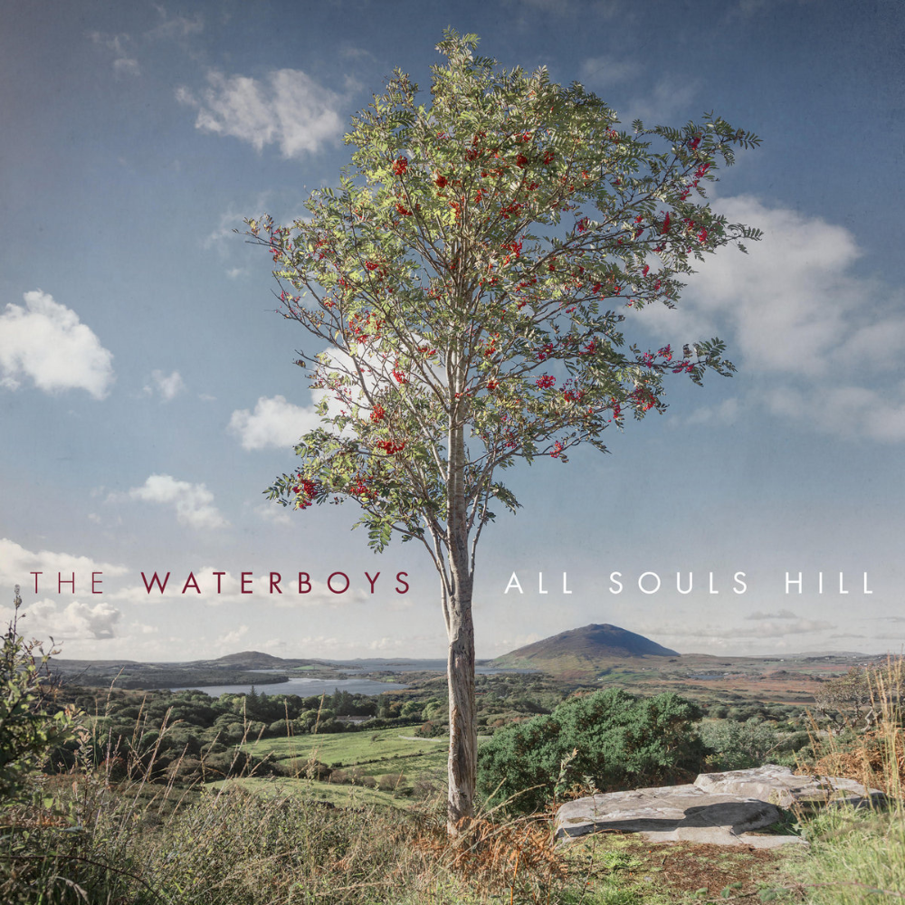 WATERBOYS - ALL SOULS HILL (GEKLEURD)