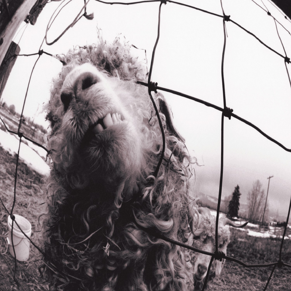 PEARL JAM - VS. (30TH ANNIVERSARY) (GEKLEURD)