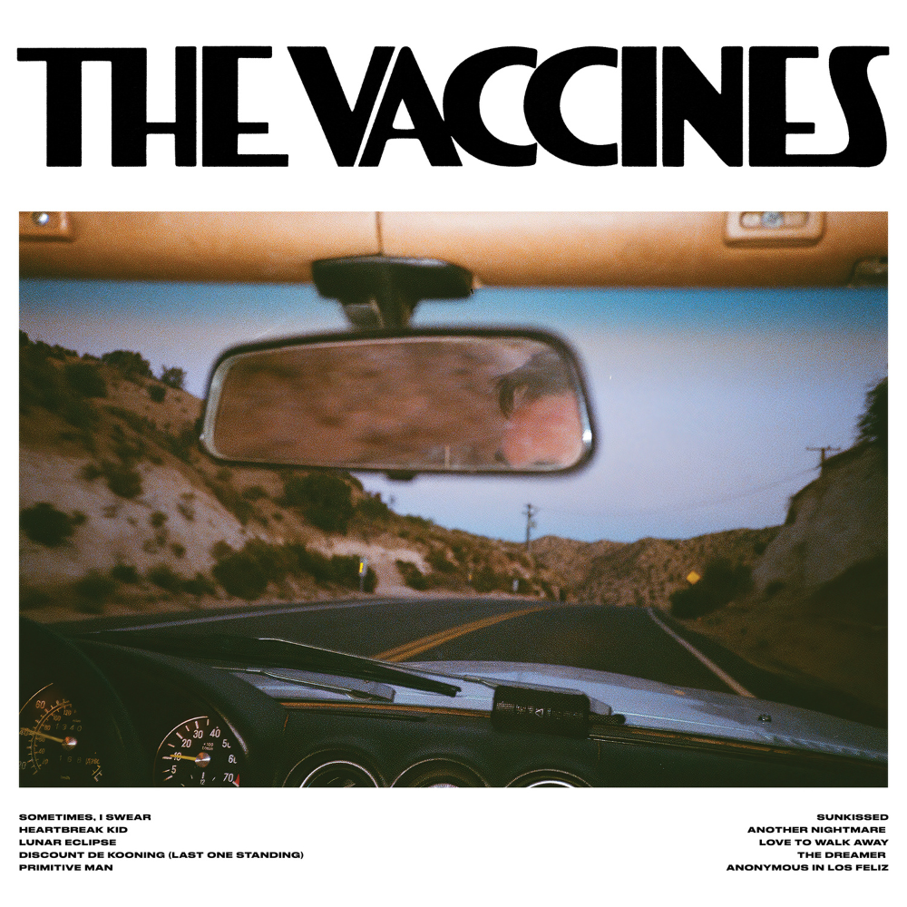 VACCINES - PICK-UP FULL OF PINK CARNATIONS (GEKLEURD)