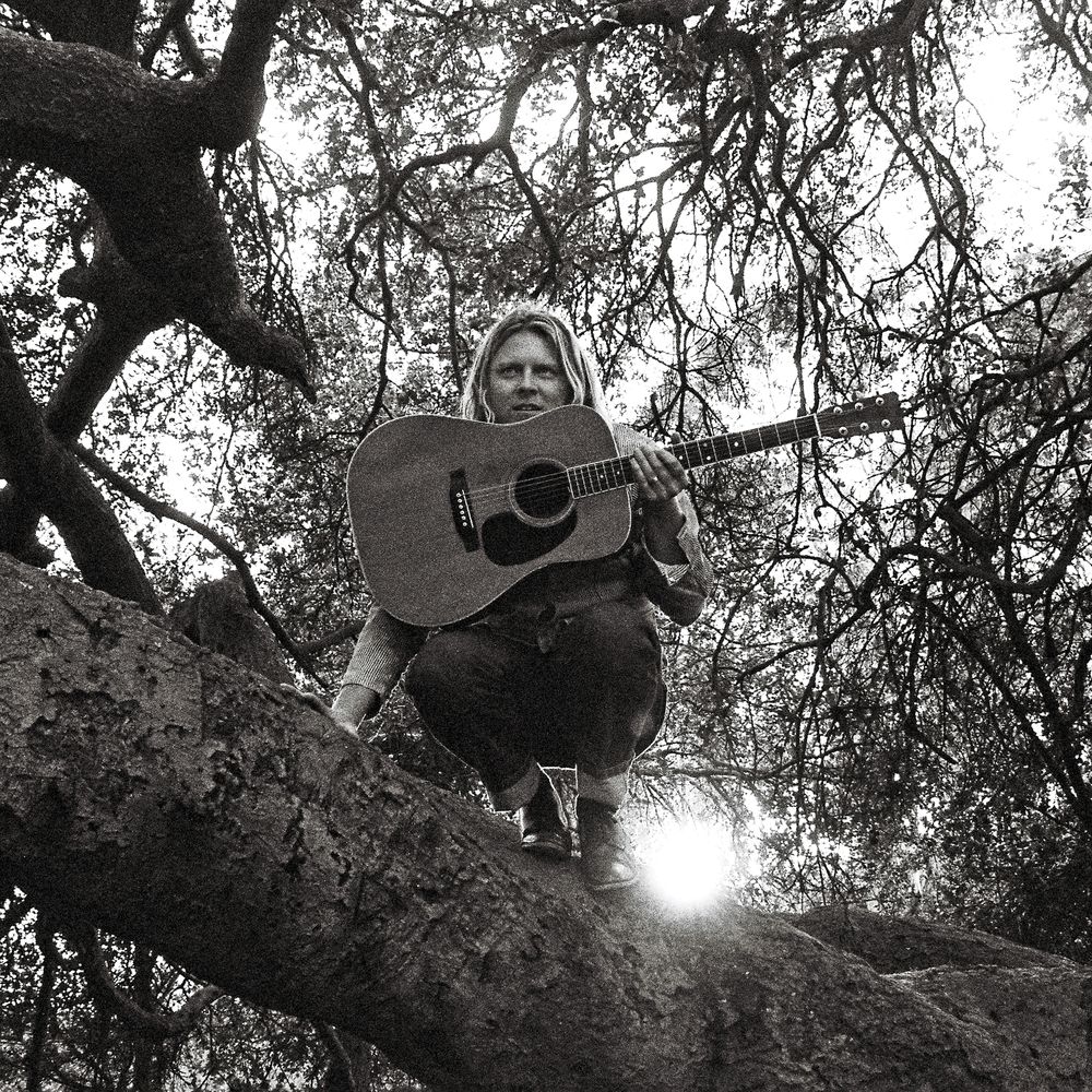 SEGALL, TY - &quot;HELLO, HI&quot;