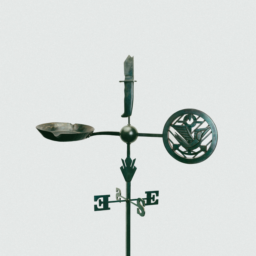 ISBELL, JASON AND THE 400 UNIT - WEATHERVANES (GEKLEURD)
