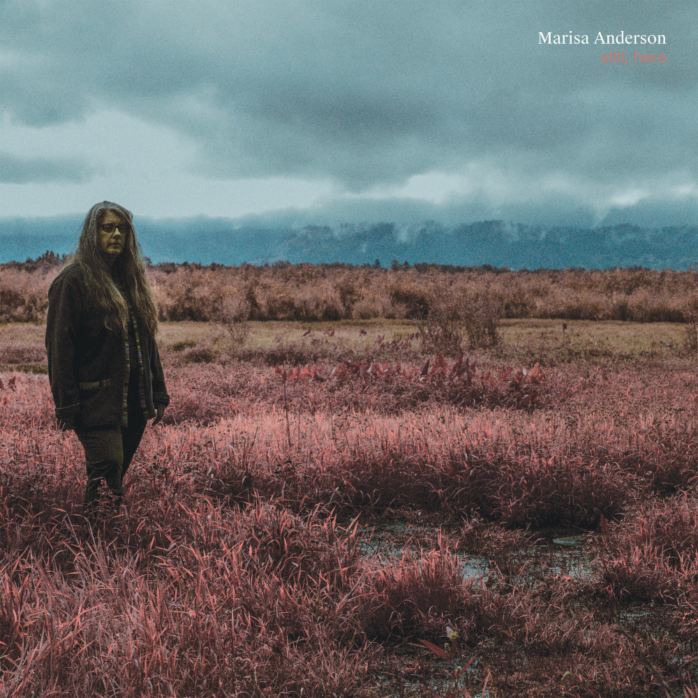 ANDERSON, MARISA - STILL, HERE (GEKLEURD)