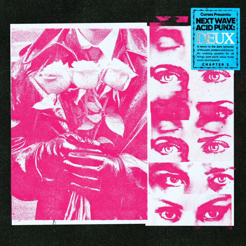 VARIOUS ARTISTS - NEXT WAVE ACID PUNX: DEUX (CHAPTER 3)