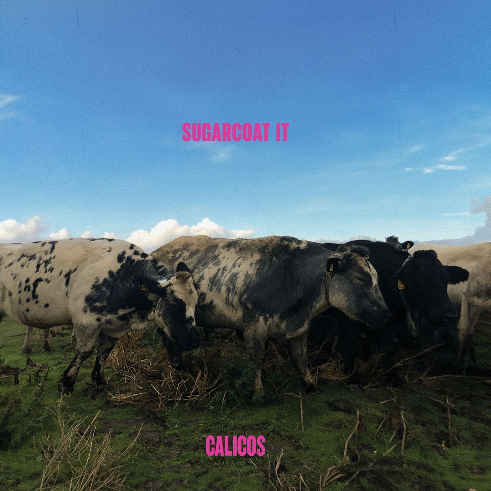 CALICOS - SUGARCOAT IT