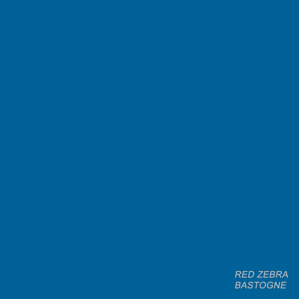 RED ZEBRA - BASTOGNE (GEKLEURD)