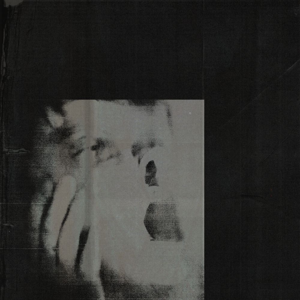 DITZ - NEVER EXHALE (GEKLEURD)