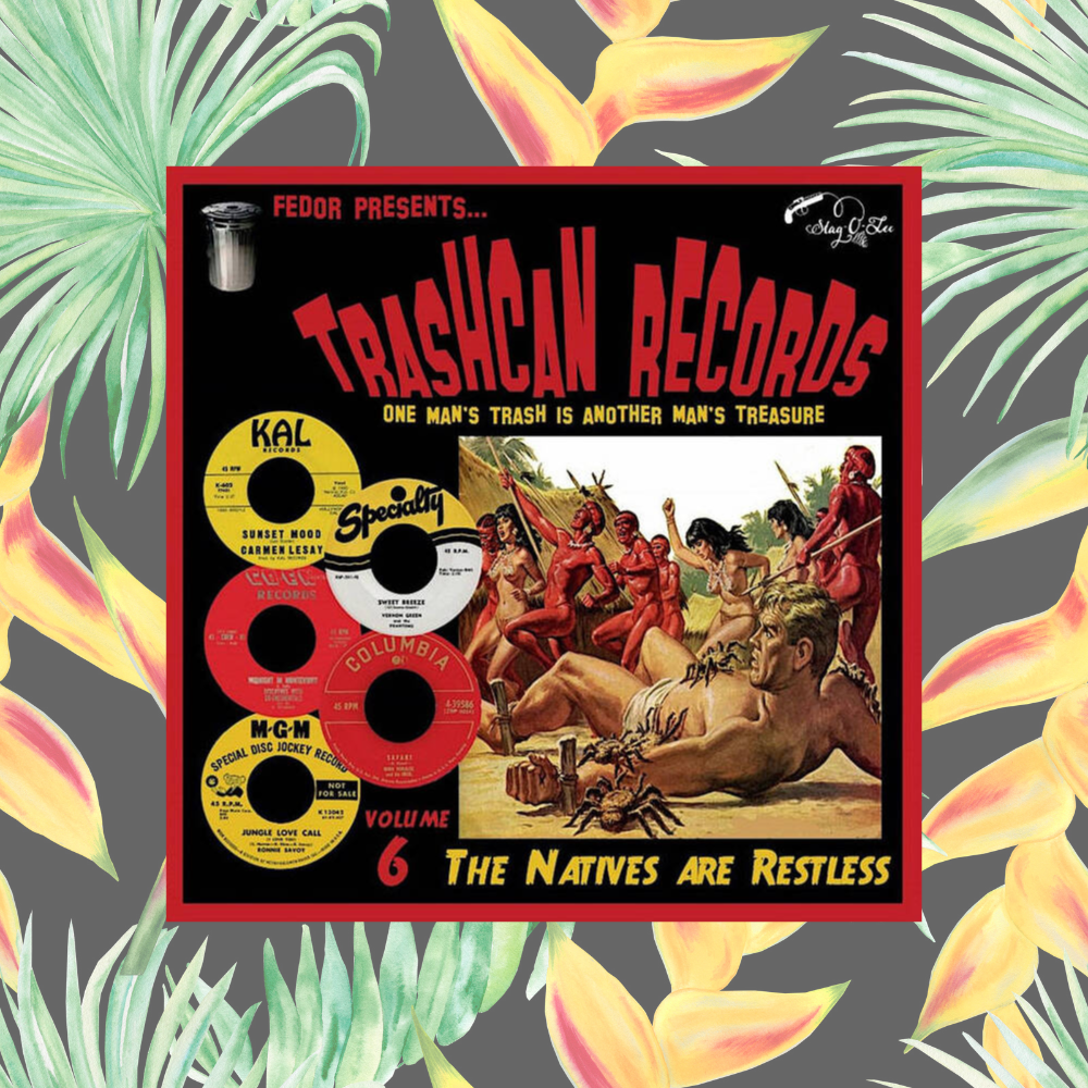 VARIOUS ARTISTS - TRASHCAN RECORDS VOLUME 6