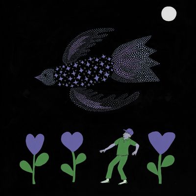 BONNIE PRINCE BILLY - THE PURPLE BIRD