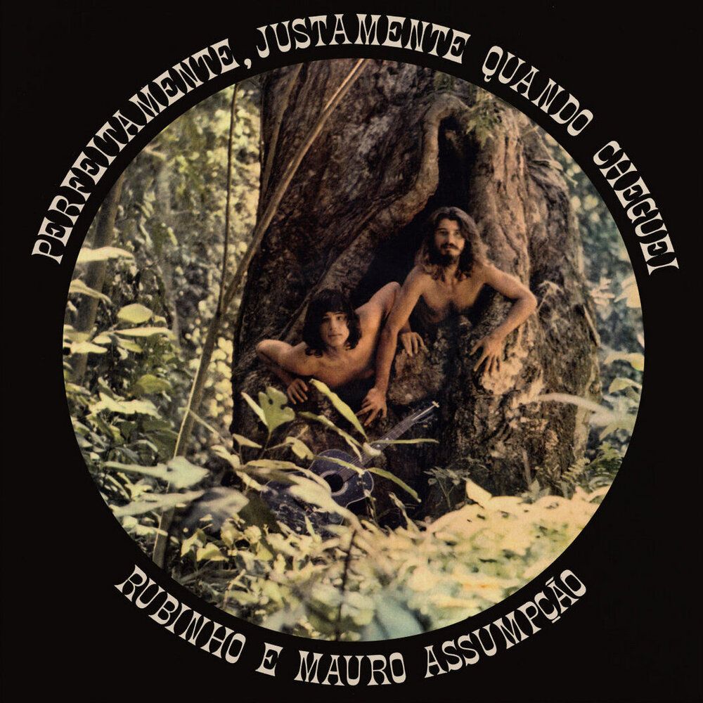 RUBINHO E MAURO ASSUMPÇÃO - PERFEITAMENTE, JUSTAMENTE QUANDO CHEGUEI