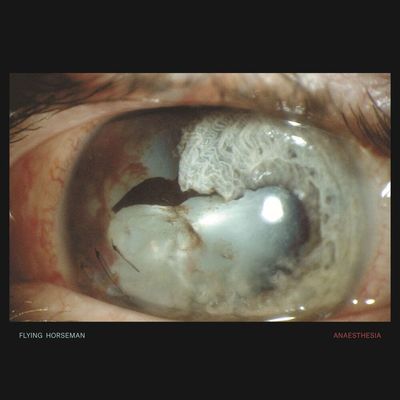 FLYING HORSEMAN - ANAESTHESIA (GEKLEURD)