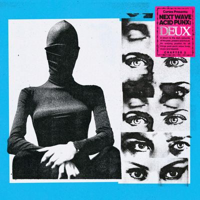 VARIOUS ARTISTS - NEXT WAVE ACID PUNX: DEUX (CHAPTER 2)