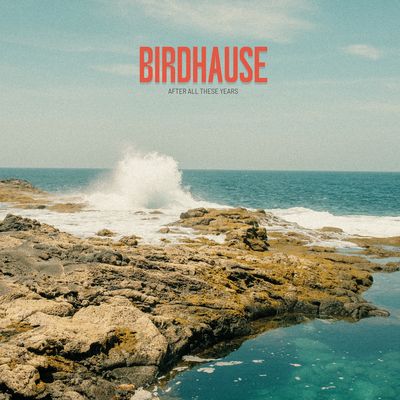 BIRDHAUSE - AFTER ALL THESE YEARS