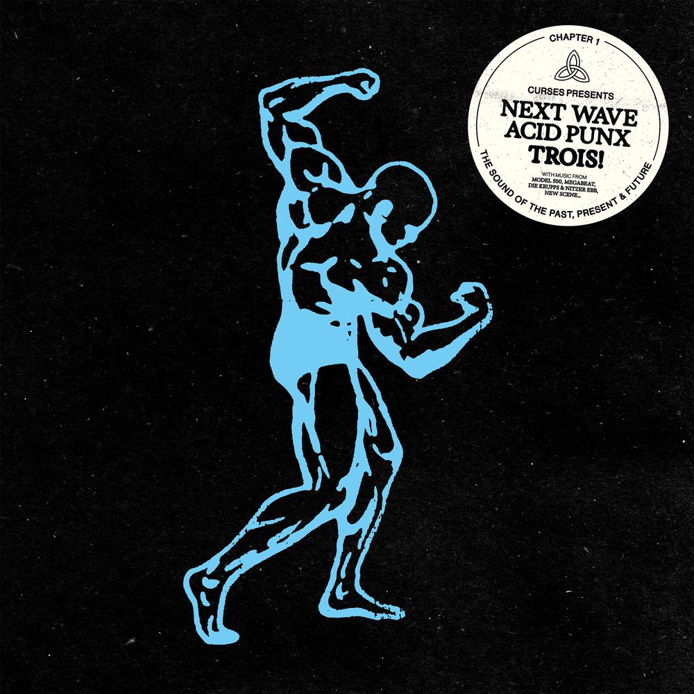 VARIOUS ARTISTS - NEXT WAVE ACID PUNX: TROIS (CHAPTER 1)