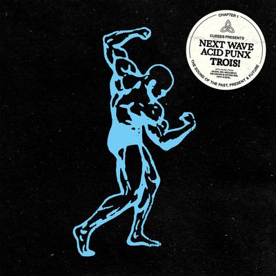 VARIOUS ARTISTS - NEXT WAVE ACID PUNX: TROIS (CHAPTER 1)