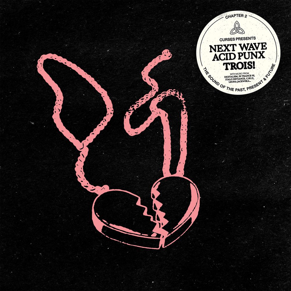 VARIOUS ARTISTS - NEXT WAVE ACID PUNX: TROIS (CHAPTER 2)