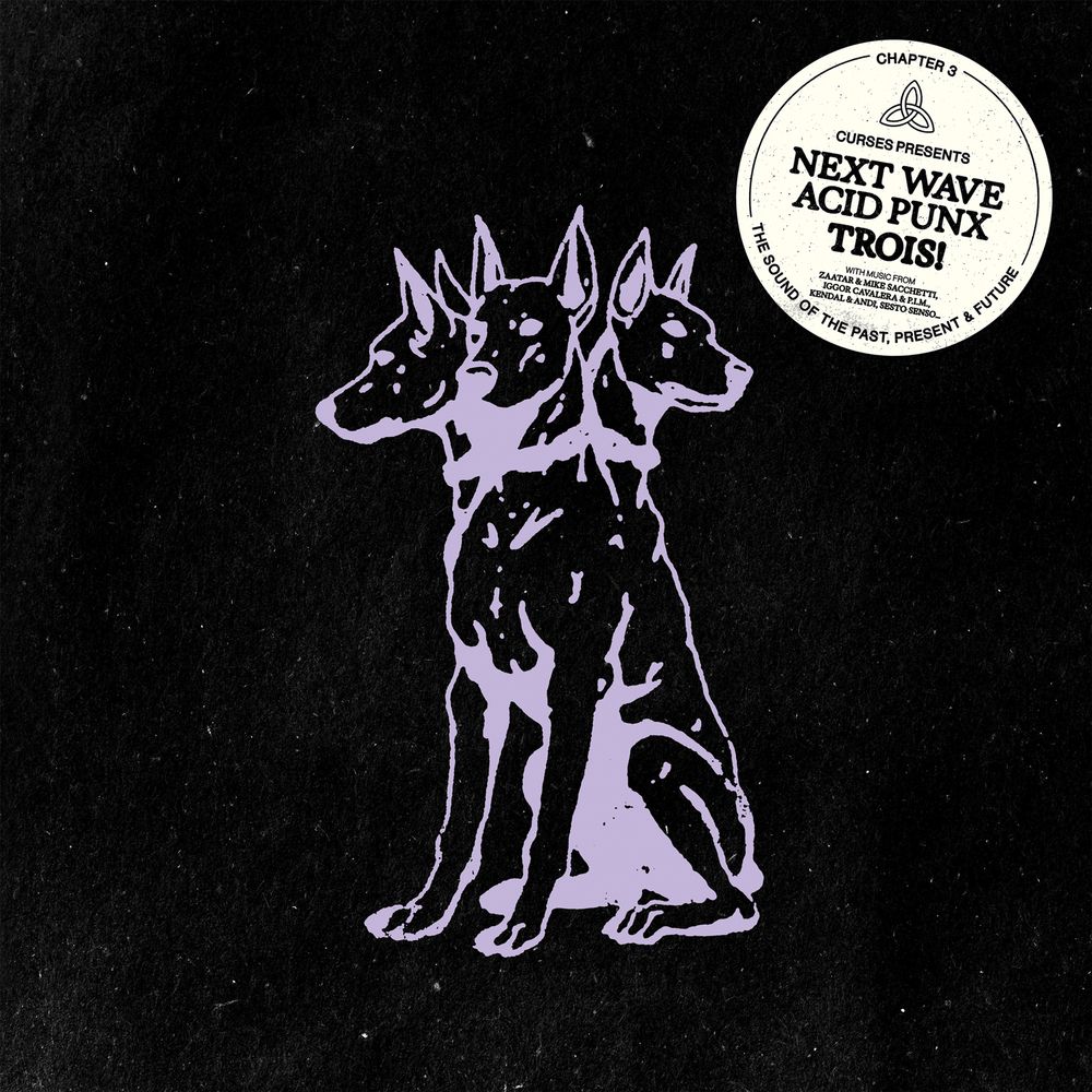 VARIOUS ARTISTS - NEXT WAVE ACID PUNX: TROIS (CHAPTER 3)