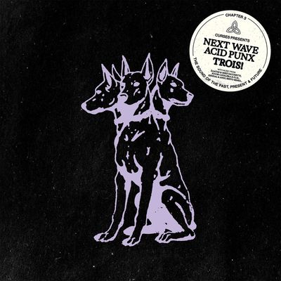 VARIOUS ARTISTS - NEXT WAVE ACID PUNX: TROIS (CHAPTER 3)