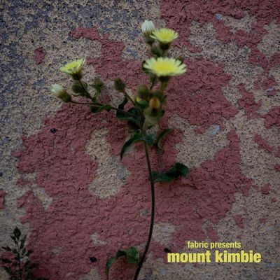 MOUNT KIMBIE - FABRIC PRESENTS MOUNT KIMBIE