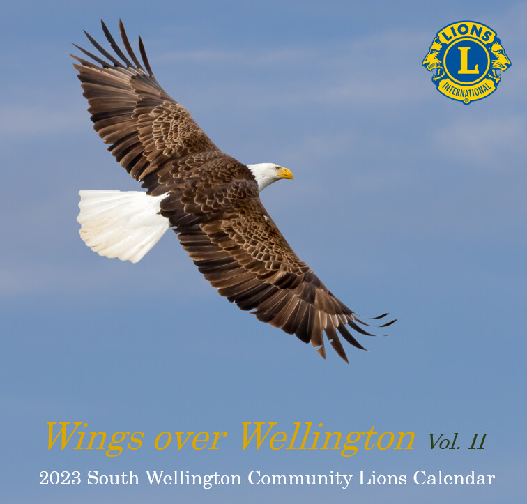 Wings over Wellington - 2023
