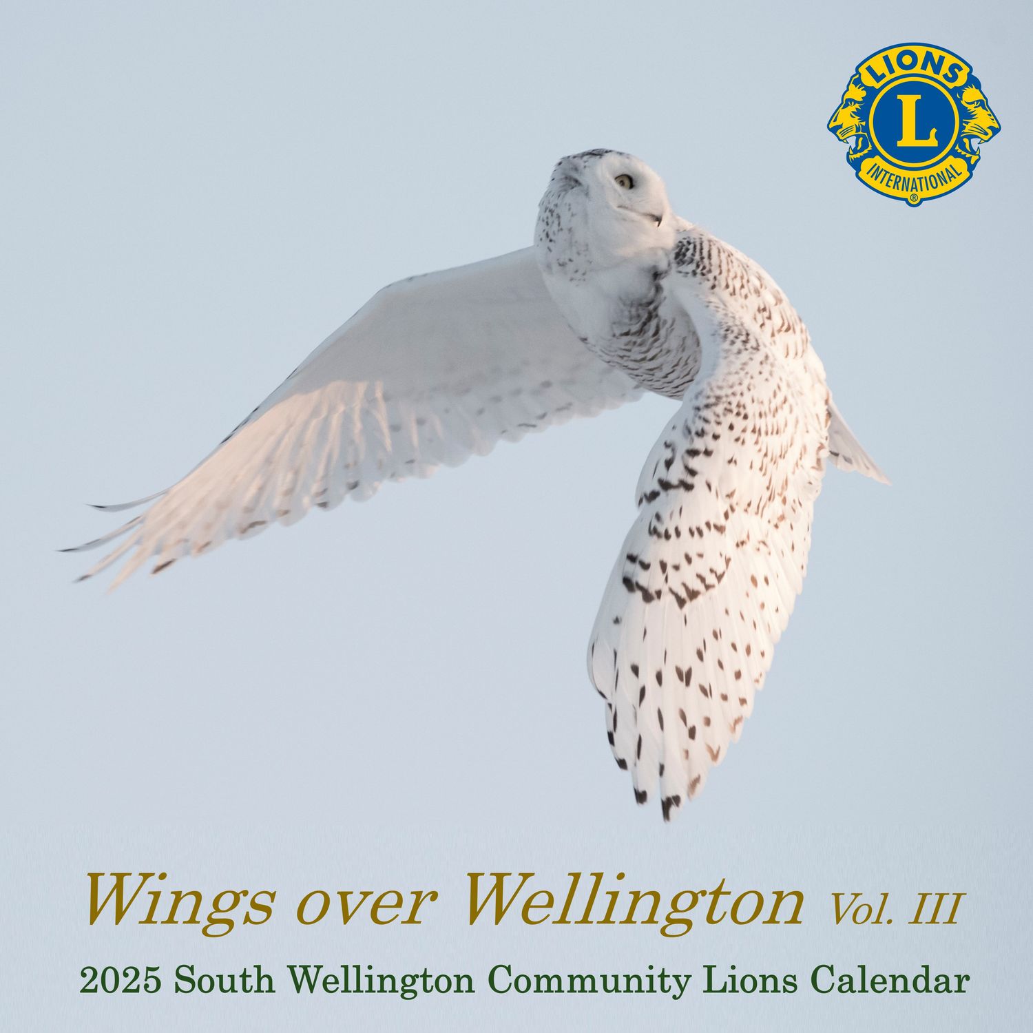 Wings over Wellington - 2025 (CLEARANCE)