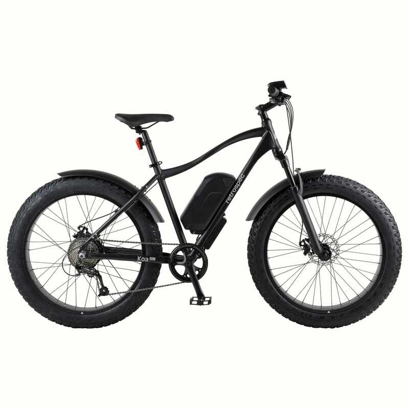 E-Bike