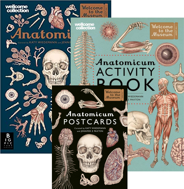 Anatomicum Collection