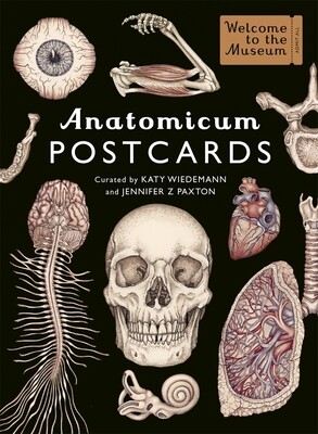 Anatomicum Postcard Set