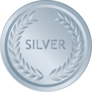 Silver Sponsor ($250-$499) - 4 Race Entries