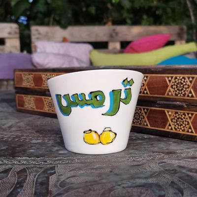 Kamshe Termos Light Green Bowl